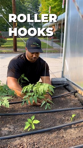 🌱🍅 Experience the benefits of trellising indeterminate tomatoes and grow your vines vertically! 🍅🌱 Benefits ➡️ *Supports crop growth throughout the season *Minimizes pests and disease pressure *Increased harvests How to use: 1️⃣ Squeeze the wire frame holding the spool 2️⃣ Release the twine while sliding down the wire 3️⃣ Lower and lean your vine crops for optimal growth Ready to revolutionize your tomato growing experience? Try trellising your indeterminate tomatoes and enjoy a bountiful ha