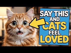 6 Words That Make Your Cat Know You Love Them Instantly