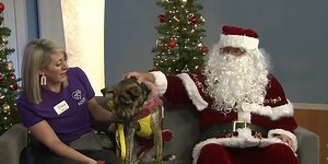 SPCA of Northern Nevada offering free pet photos with Santa Paws at holiday party