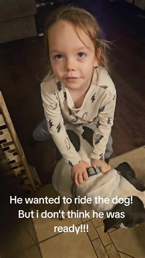 Wink (@wink4u2024)’s video of dog