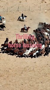 95K views · 256 reactions | Experience the thrill of lassoing galloping horses in China's Inner Mongolia as herdsmen showcase their incredible skills passed down through generations | Xinhua Culture&Travel | Facebook