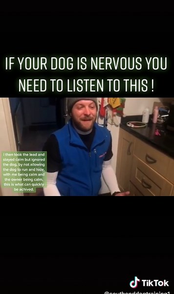 This is the number 1 thing we need to address to truly help a nervous dog. #dogs #dogsoftiktok #dogtraining #pet #petslover #petsoftiktok #anxiety