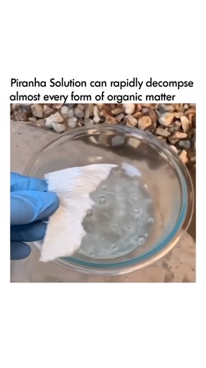 Success | Motivation | Relatable | Piranha solution is a highly reactive chemical mixture, widely used in laboratories for its powerful cleaning properties. Formed by... | Instagram