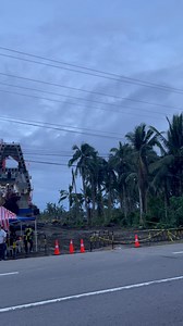 We must protect this land for the future generations. BUGAS DRE BARAS IT IRA KINAHANGLAN. #NoToMiningInMacArthurLeyte | Elmar Albina