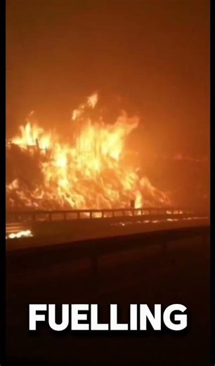 🔥 Chile Wildfires: Massive Evacuations & Destruction! 🌲🔥