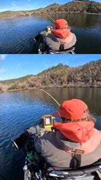 I watched this Big Smallie eat the Minnow