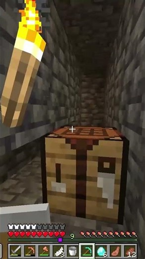 First With Diamond Armor Flex!