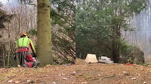 Strategic Tree Cutting with Hydraulic Jack Assistance