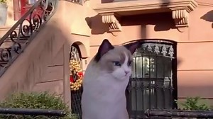 結構シュール。Googleが検索で50種類の動物をARで見られるよう追加