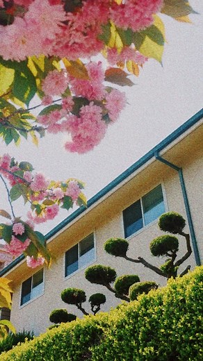 Enhance Your Images with the New Grain Tool on VSCO