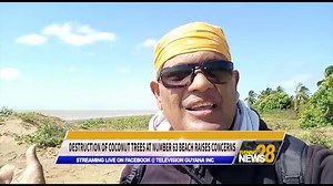 A developmental activist is expressing concerns over the destruction of coconut trees on the Number 63 Beach in Berbice. | Television Guyana Inc.