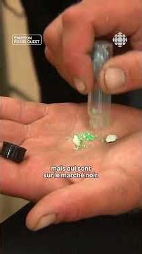Using AI to trace drugs in BC.