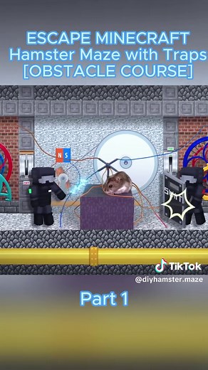 ESCAPE MINECRAFT Hamster Maze with Traps [OBSTACLE COURSE] #labyrinth #diyhamstermaze #diy #hamsters #pet #foryou #fyp #viral #trending