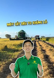 Máy cắt siêu to khổng lồ, không cần người hứng lúa, không cần người buộc bao luôn, anh chị có bk con máy này bao nhiêu tiền k? Em sắm 1 con về cắt lúa nhà, gảnh rỗi đi hớt dạo kiếm tiền xài #nongnghiepphanthanh #nongnghiep #lúa