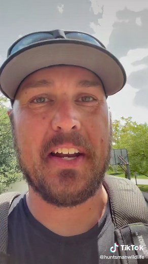 Bat Exclusion Techniques After Ohio Moratorium Lifts