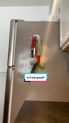 I think it is 🤩 swivelstorage.shop #krisjenner #krissed #hook #organize #kitchen#viral