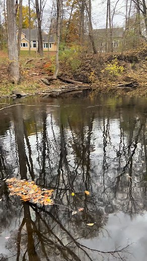 Patrick R Schmidt on Reels