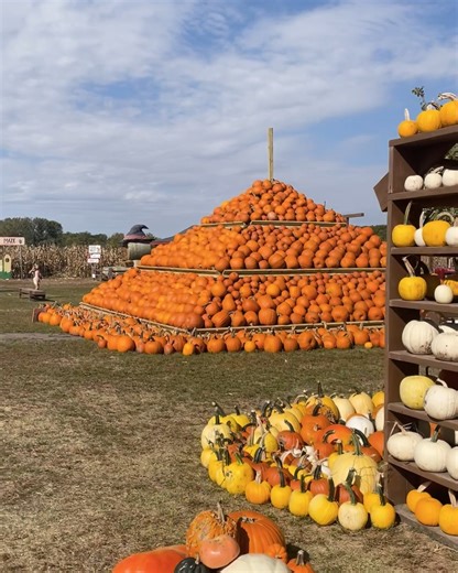 If loving pumpkin season is wrong, we don’t wanna be right. 🎃 Grab a latte and come get your pumpkin spice, spice baby! ☕️ | Center Grove Orchard