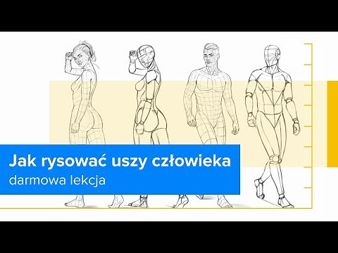 Rysowania postaci ludzkich - anatomia i proporcje | Jak rysować uszy człowieka |▶strefakursow.pl◀