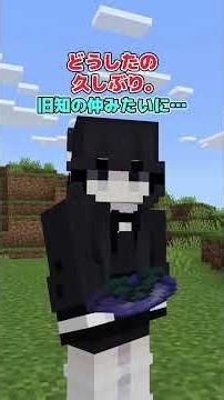 【アドオン紹介】設定とか言うな【統合版マイクラ】