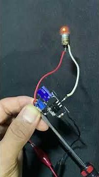 DIY Adjustable Bulb Flasher Circuit | Simple Electronics