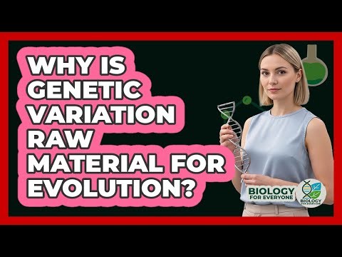 Why Is Genetic Variation Raw Material for Evolution?