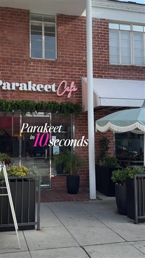 a quick look at what we do best! welcoming spaces, thoughtful food, and wellness made approachable—that's the parakeet way. fly in this week, birdies!