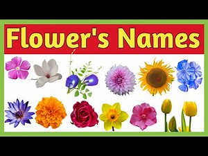 20 Flowers Name in Hindi and English with pictures| फूलों के नाम हिन्दी और अंग्रेजी में #flowersname