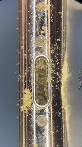 1.1M views · 2.3K reactions | #Satisfying iPhone charging port...