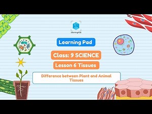 CBSE Class 9 Biology | Plant vs Animal Tissues Explained | Differences with 3D Models +Brain Busters