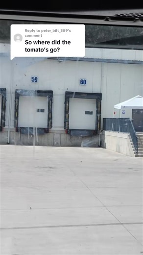 Replying to @peter bilt 389 #truckdriver #trucker #trucking #fblifestyle #greenscreen #mechaniclife #reels #reels2025 #ford #chevy #dieseltrucks #dieselpower | Gear Grinding Hyena