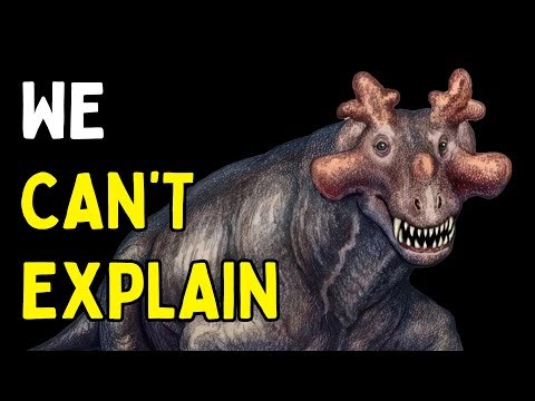 Explaining Prehistoric Creatures That Shouldn’t Have Existed