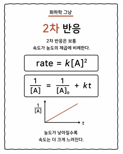 0차, 1차, 2차 반응과 반감기 🐹