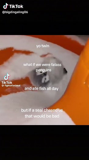 Adorable Penguins: The Many Joys of Their Lives