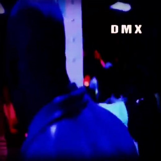 131K views · 14 reactions | Belly Intro | DMX | Facebook