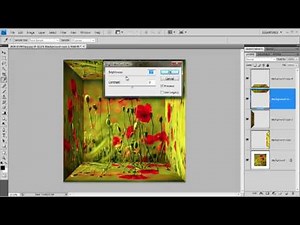 Mirror Box Effect in Photoshop - Week 75