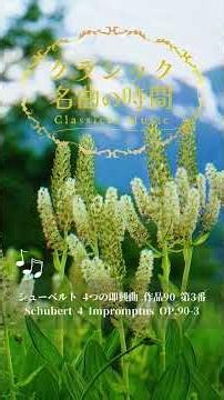 1分クラシック♪ 4つの即興曲90-3 #クラシック #名曲 #朝