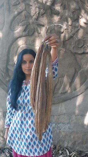 Natural Loofah Soap 😊 Growing your own gourd offers a unique benefit: dried loofah, renowned for its excellent exfoliating properties. I've combined this natural wonder with soap to create a unique blend that makes exfoliating the skin a breeze. Ingredients: 1 bar (about 150 grams) of vegetable soap base 75 grams of cocoa butter 1 tablespoon of coconut oil Loofah, cut into 1/2-inch rounds Recipe: - Clean, wash, and dry the loofah. Cut it into 1/2-inch rounds and place them in a mold of your cho