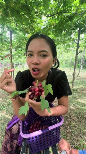 Mukbang Anggur Import: ASMR Segar yang Menggoda