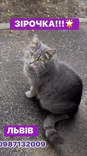 20 reactions | Luda Raduga on Reels | Facebook