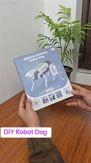 Build Your Own Remote Control Robot Dog