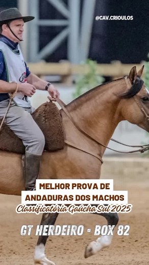Prova de Andaduras dos Machos na Classificatória Gaúcha
