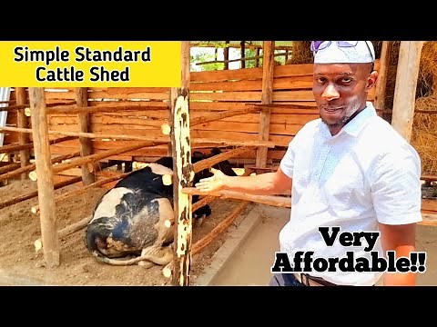How to Build A standard Cattle Shed for 10milking Cows
