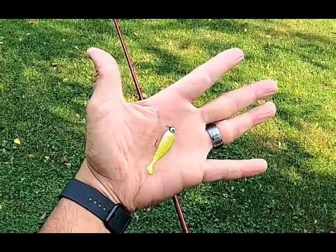 Pond Fishing Made Easy with a Micro Swimbait!