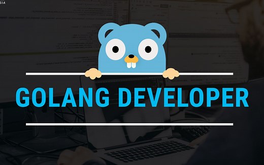 GoLang从入门到高手，Go语言入门教程，Go语言学习最好的课程