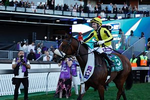 The Real Prince wins 2025 Durban July - SABC News - Breaking news, special reports, world, business, sport coverage of all South African current events. Africa's news leader.
