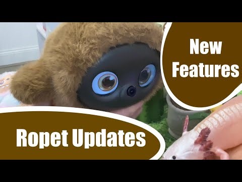 Ropet Next Gen AI Rob​​​​ot Pet new updates #robot #newrobot #robotcompanion #ropet #robotpet