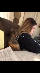 1.4M views · 75K reactions | Follow for more fun. . . . #reels #automaticwatch #trending #Fun #thrill #longvideo #scrolling | memekitchen | Facebook