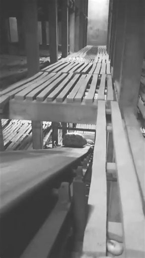 Bhari Bhari PagalWorld desi cinema Bhojpuri 😭😭😭😭🇮🇳🇮🇳🇮🇳