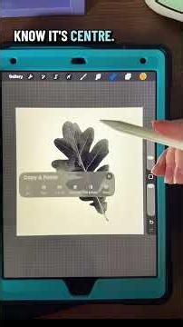 How to make your own custom stamp in procreate, digital art ￼
